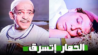 الحمار إتسرق من حسنين البرطوشي أول يوم شغل 😂😂🤣 | هتموت من الضحك 😂😂🤣