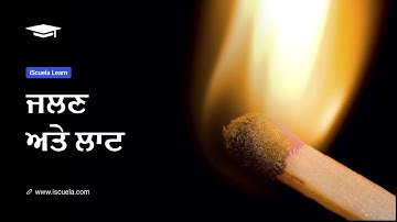 PB | Class8 | Science | Chapter 6 | Jlan Ate Laat_01 (PSEB)