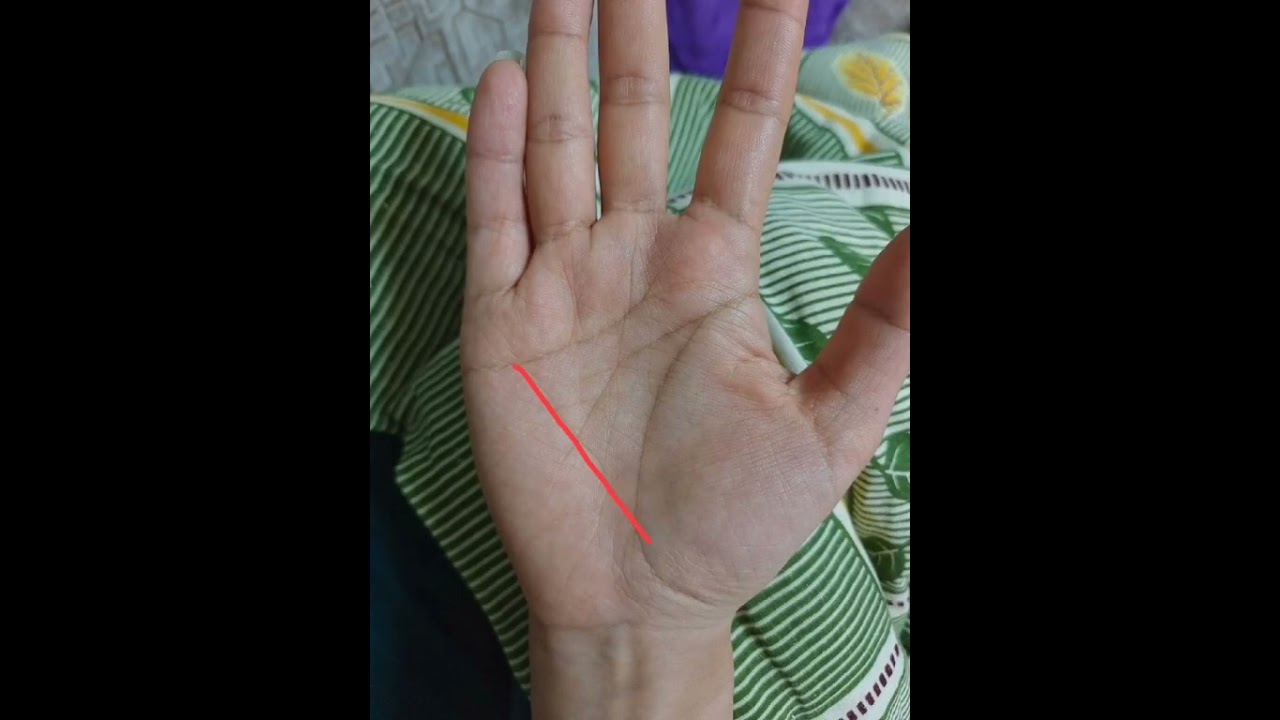 有此特殊掌紋的人一定一定要高度關注! #面相 #運勢 #手相 #palmistery #掌纹 #国学智慧