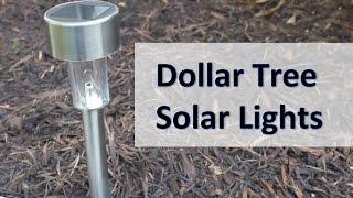 dollar solar tree