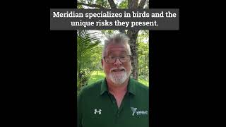 I have a pest control contract. Why do I need a bird removal company?