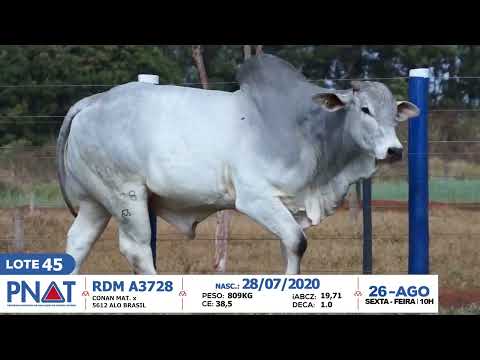 LOTE 45   RDM A3728