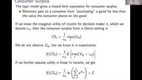 Week 4: Logit Model | Video 8: Counterfactuals and Welfare