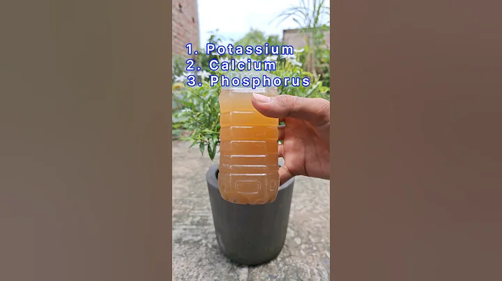 Natural organic fertilizer for any plants #shorts #naturalfartilizer #plants