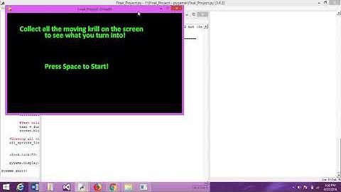 pygame - Final Project