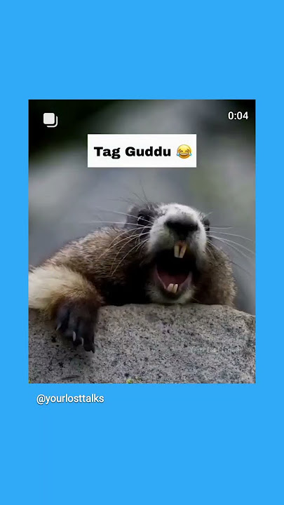 #Guddu😄#😄😄😄😄#
