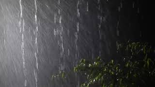 Sleep Immediately with Heavy Rain &amp; Thunderstorm Sounds at Night   Thunder Rain Sounds for Sleeping