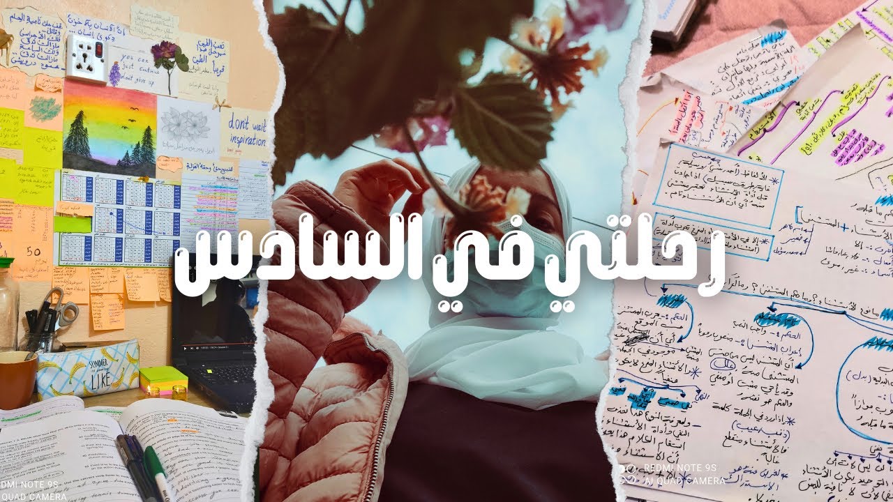 رحلتي في الصف السادس الإعدادي