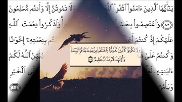 قراءة خاشعة - سورة آل عمران من آية 100 إلى 108
