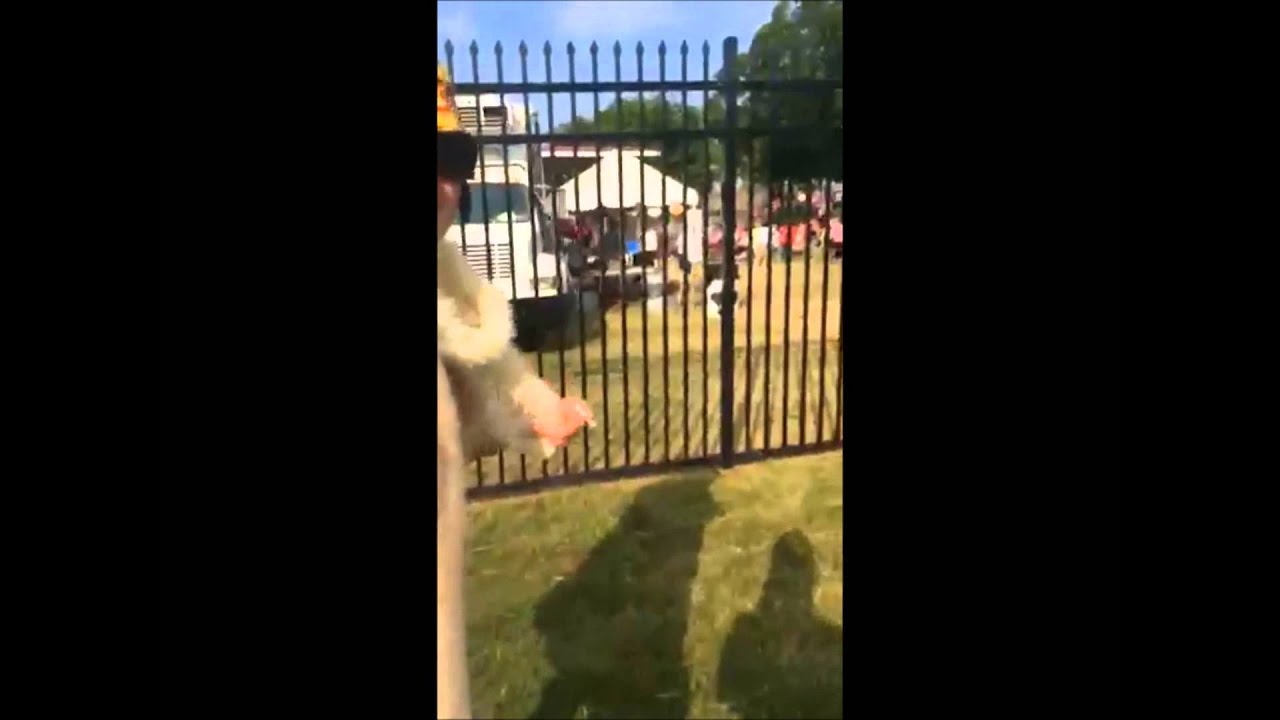 King Allentown Video Blog 36 Mayfair 2015 YouTube