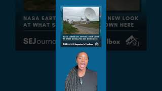 SEJournal Weekly Highlights: NASA Earthdata Upgrade &amp; Insect Decline Explained