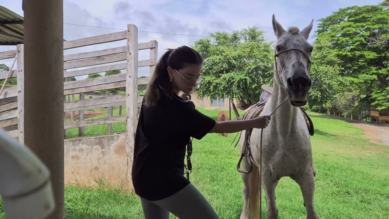 Sozinha na Fazenda: Café, Cavalos e a Paz de Andar a Cavalo ao Amanhecer