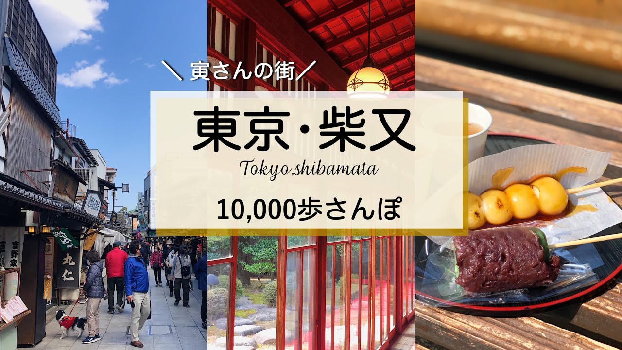 【柴又】柴又駅から金町駅までを観光してみた｜寅さんの街｜水元公園・山本亭｜東京散歩｜10000歩さんぽ｜2022年2月｜【4K】
