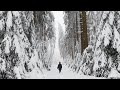 Exploring a german winter forest  covered in a thick blanket of snow