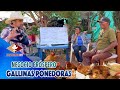 Hablemos de dinero y gallinas