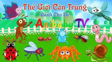 Động vật cho bé: dạy bé học các con vật trong thế giới côn trùng