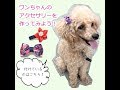 ワンちゃん用リボンアクセサリー