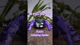 How big would you PRINT a Flexi Jumping Spider? 🕷 @CK3DPRINTS