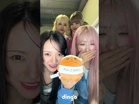 메이딘도 숭이코어 유행 탑승🙊 ㅣ <strong>대기실</strong> ASMR MADIEN (메이딘) 편