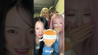 메이딘도 숭이코어 유행 탑승🙊 ㅣ 대기실 ASMR MADIEN (메이딘) 편