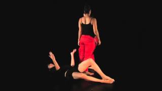 Dance Digital Bytes - Trio (2011)