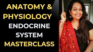 Endocrine System Anatomy & Physiology | Medical Coding Interview Prep | CPC Exam 2025