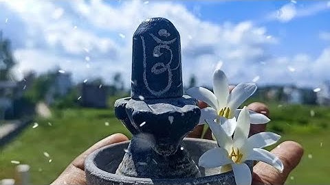 Mahadev status video | bholenath whatsapp status video | new shiv status video | shiv bhajan 2022