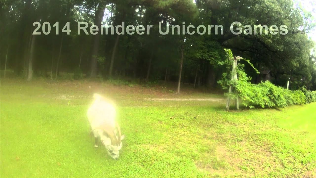 camera iphone 8 plus apk Reindeer Unicorn Games 2014