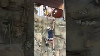 Guy stuck on side of fake mountain in bass pro shop.