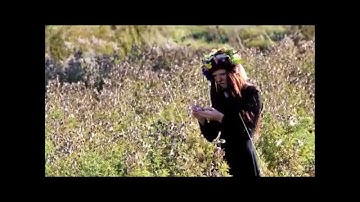 Introduction to Mass Communication Midterm: Portal Music Video