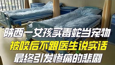 陕西一女孩买毒蛇当宠物，被咬后不跟医生说实话，最终引发悲剧