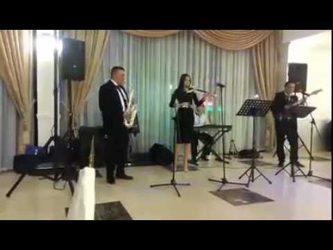 Muzical Band - sarba moldova petrecere sinonim