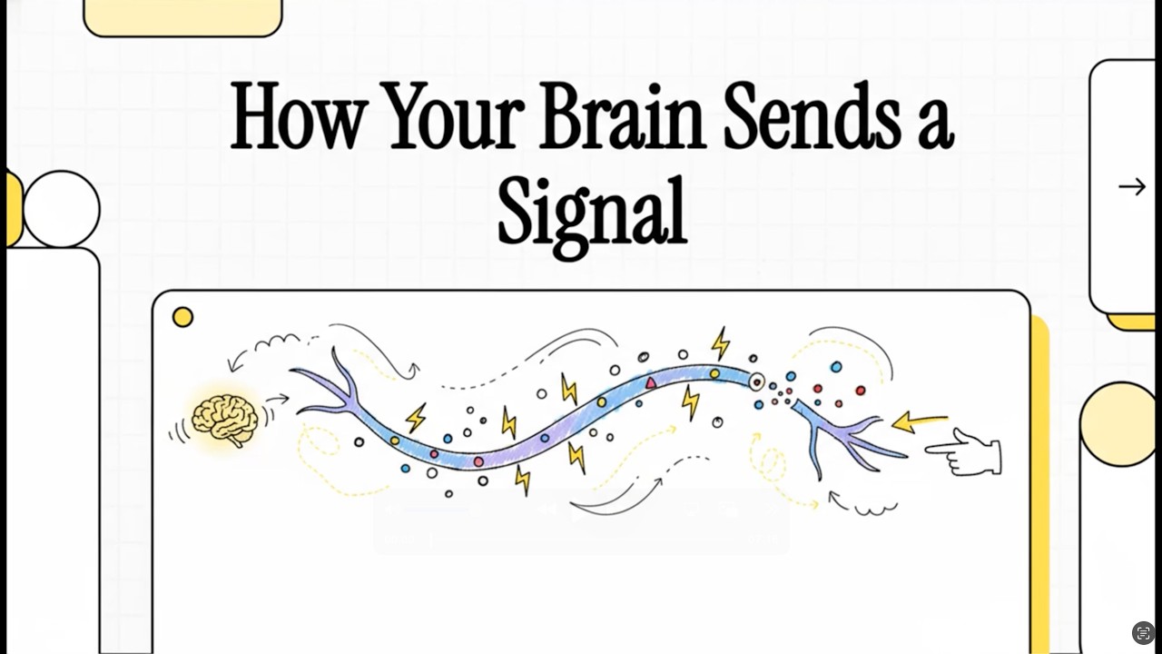 Neuropharmacology: The Cellular Basis of Communication I (Nestler, Hyman, & Malenka, 2009, Ch 2)
