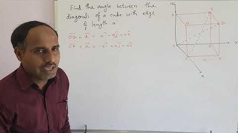 VECTORS-27# Find the angle between the diagonals of a cube with side of length a.
