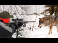 Hunting Serbia - Wolf hunting 3 | Hajka na vuka Šipovo - BiH | Caccia al lupo 2 | Jagd auf den Wolf