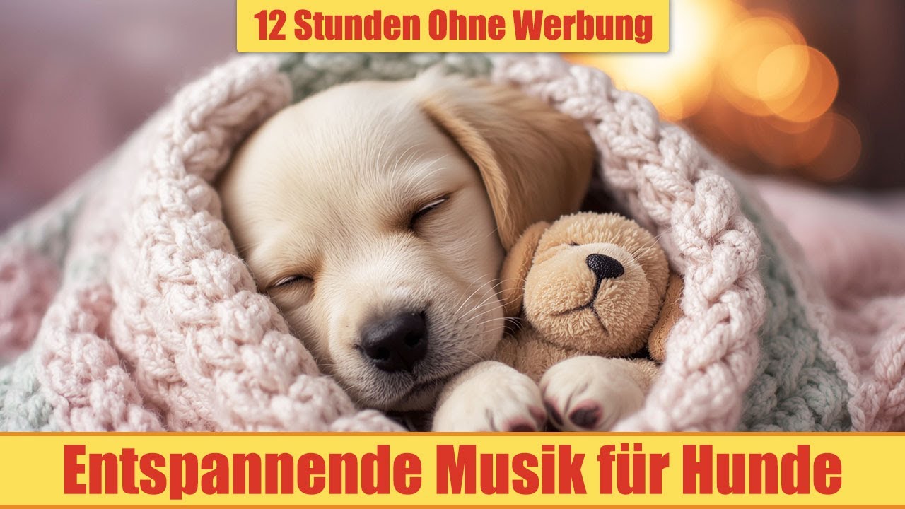 Beruhigende Musik für Hunde - 12 Stunden Ohne Werbung | Für gestresste Hunde_vol.26