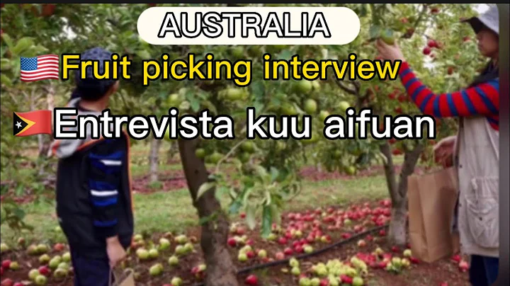 Tetun | English Interview Questions and Answers