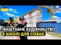 🇺🇦БУДІВНИЦТВО В ШКОЛІ ДЛЯ СОБАК