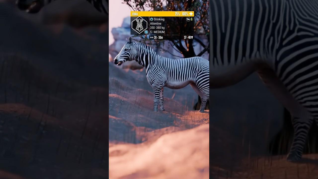 Как бы выглядела зебра в COTW? (Не под управлением ИИ)