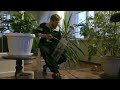 Interstellar - Theme by Hans Zimmer (Tagelharpa Cover)