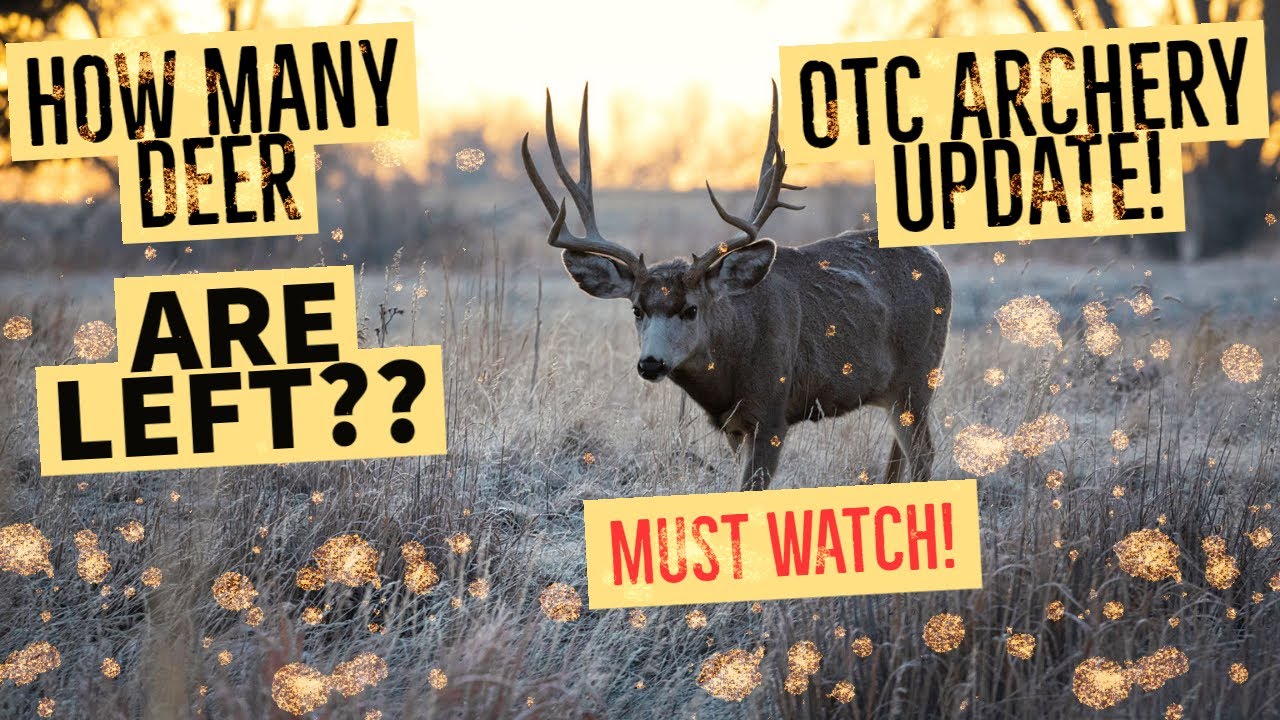 HUNT For Mule Deer In Arizona Archery Season Is Here arizona hunt-for-mule-deer-in-arizona-archery-season-is-here-arizona