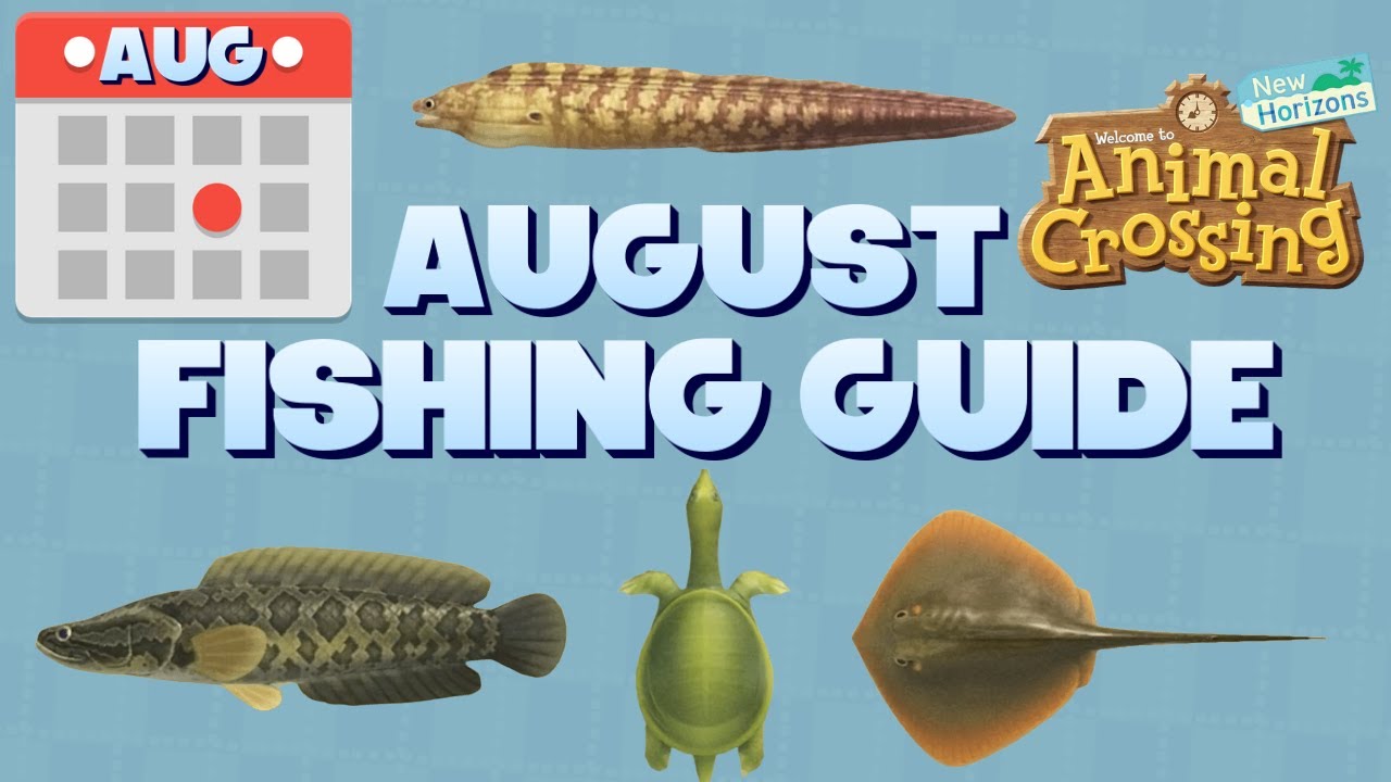 August Fishing Guide For Animal Crossing New Horizons! - YouTube