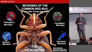 2016 Three Minute Thesis: Michael Fisher