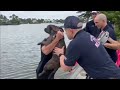 Video shows Miami Beach firefighters saving dog from Biscayne Bay