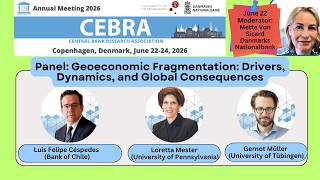 #CEBRA2026 Panel:  Geoeconomic Fragmentation: Drivers, Dynamics, and Global Consequences