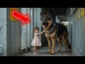 No One Could Handle This Dangerous Dog — Then a Little Girl Did the Impossible!