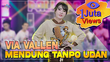 Mendung Tanpo Udan | Via Vallen Feat New Pallapa Official ( Official Musik Video Terbaru 2021 )