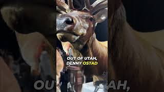 Celebrity World Record Elk Wealth