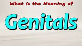 Download Lagu What is the Meaning of Genitals MP3