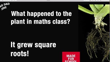 Hydroponics For Beginners Chapter 4 5